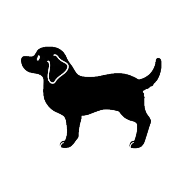 Raza de perro mediano